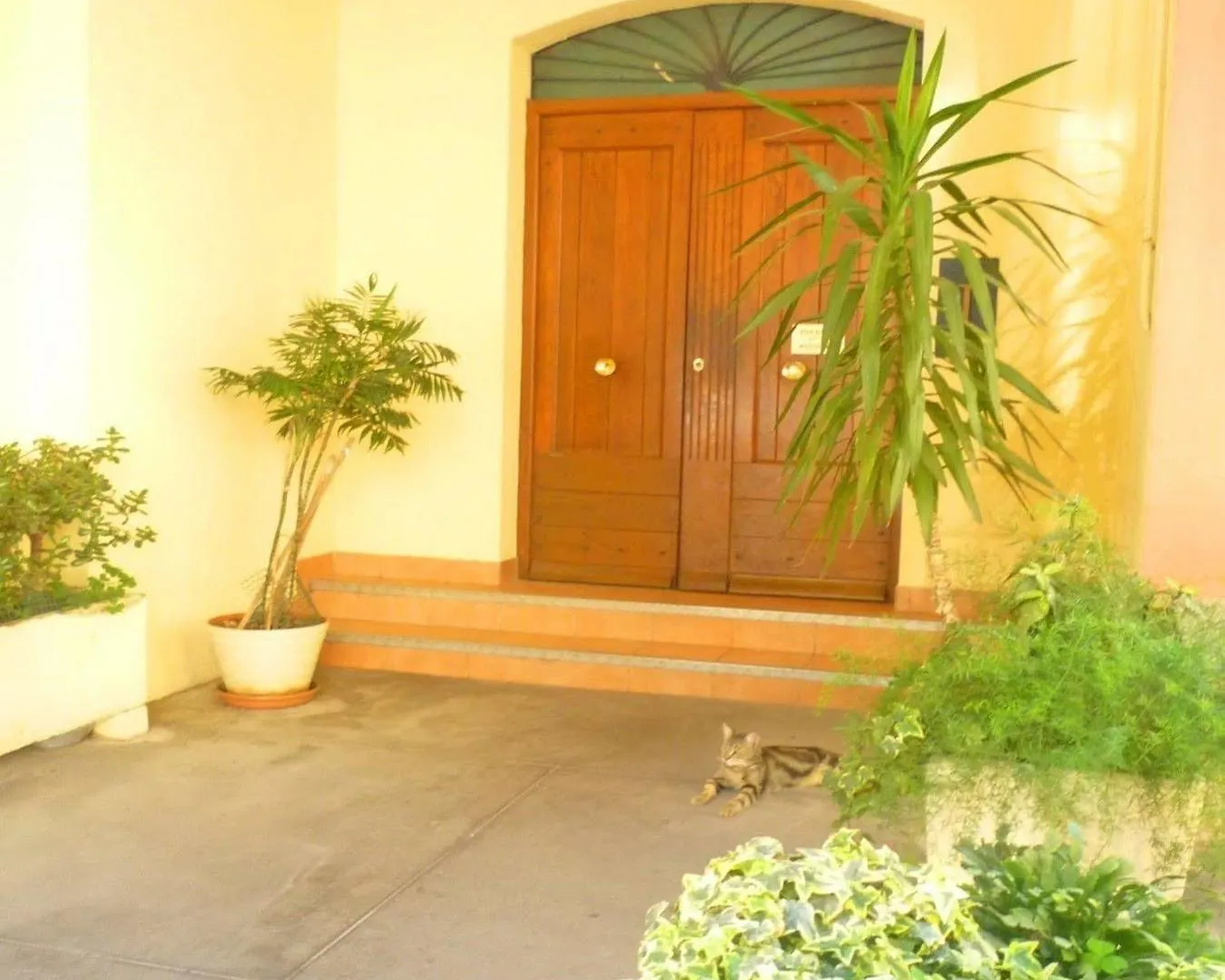 Nestor&Jeeves - Josephine Vieux Nice - Old Town - Close Sea Apartment